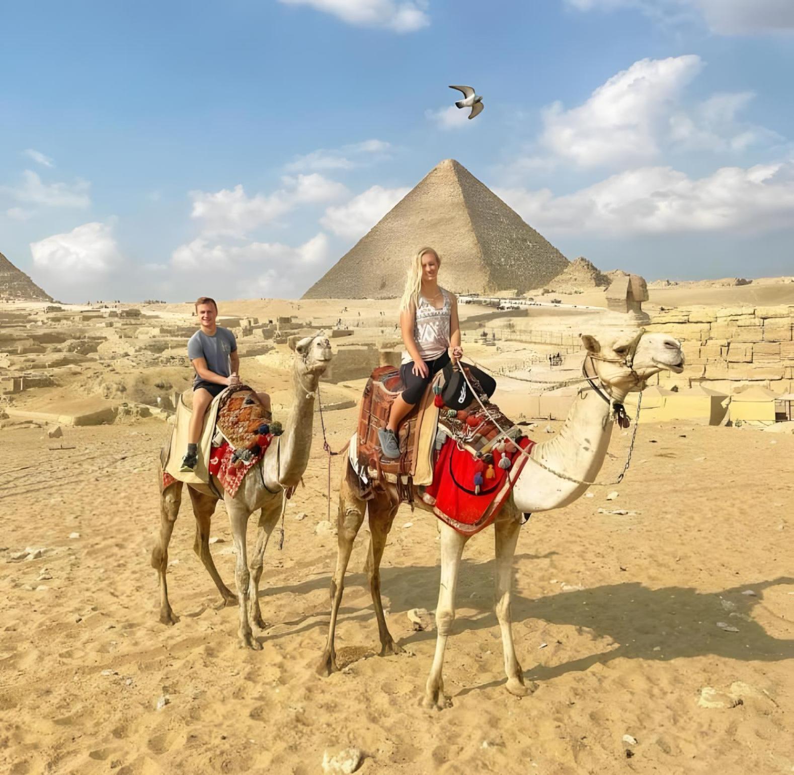Pharaohs Oasis 3*