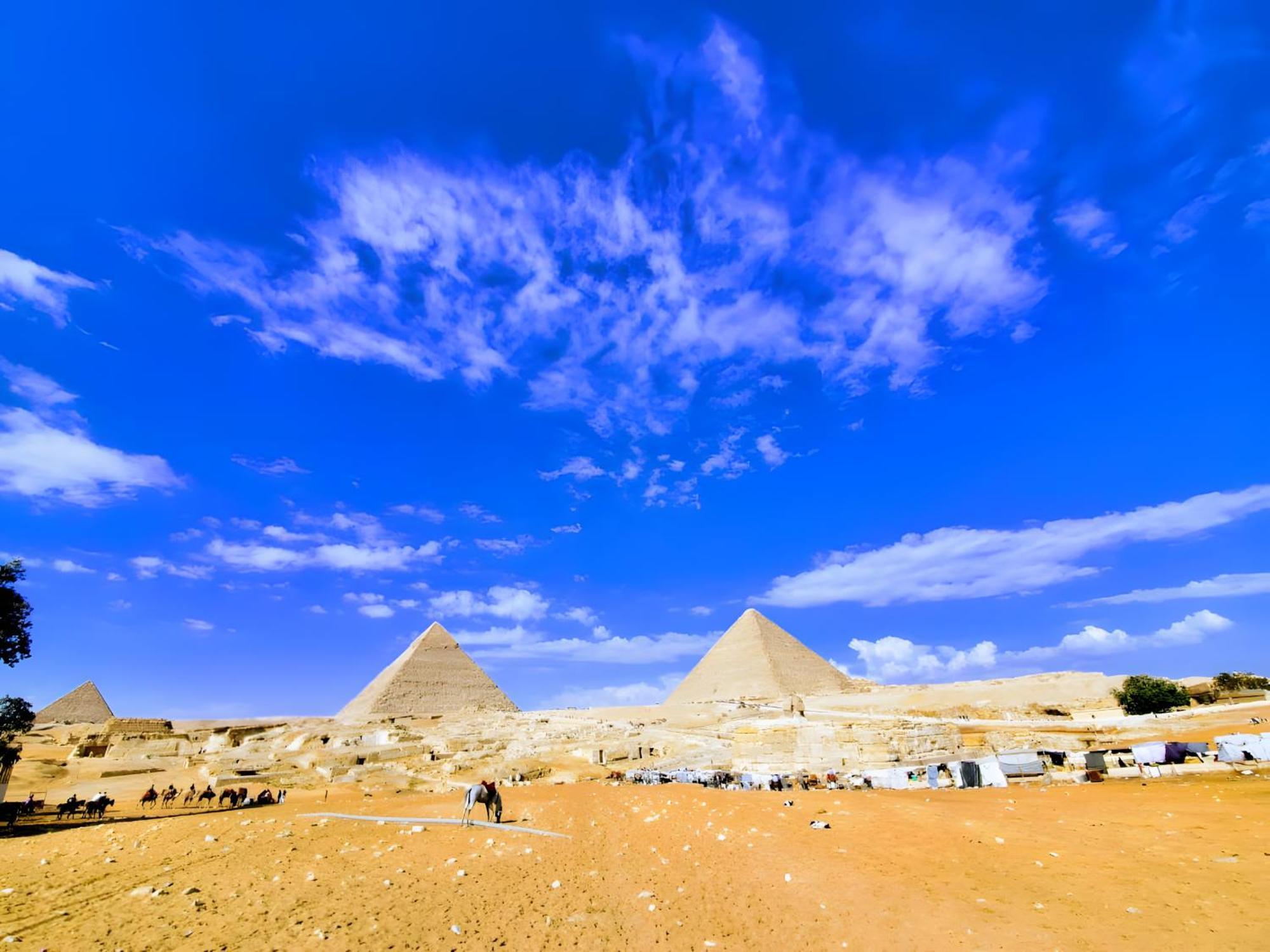 Pharaohs Oasis